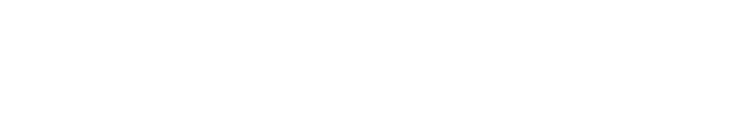 Logo Sistema Gare orizzontale bianco